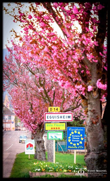 Gite St Léon à Eguisheim – photo 51