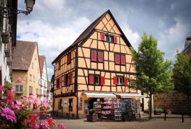 Gite St Léon à Eguisheim – photo 35