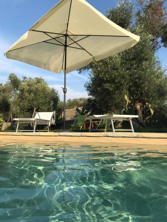 a table and an umbrella next to a swimming pool at B&B Medali in Vernole
