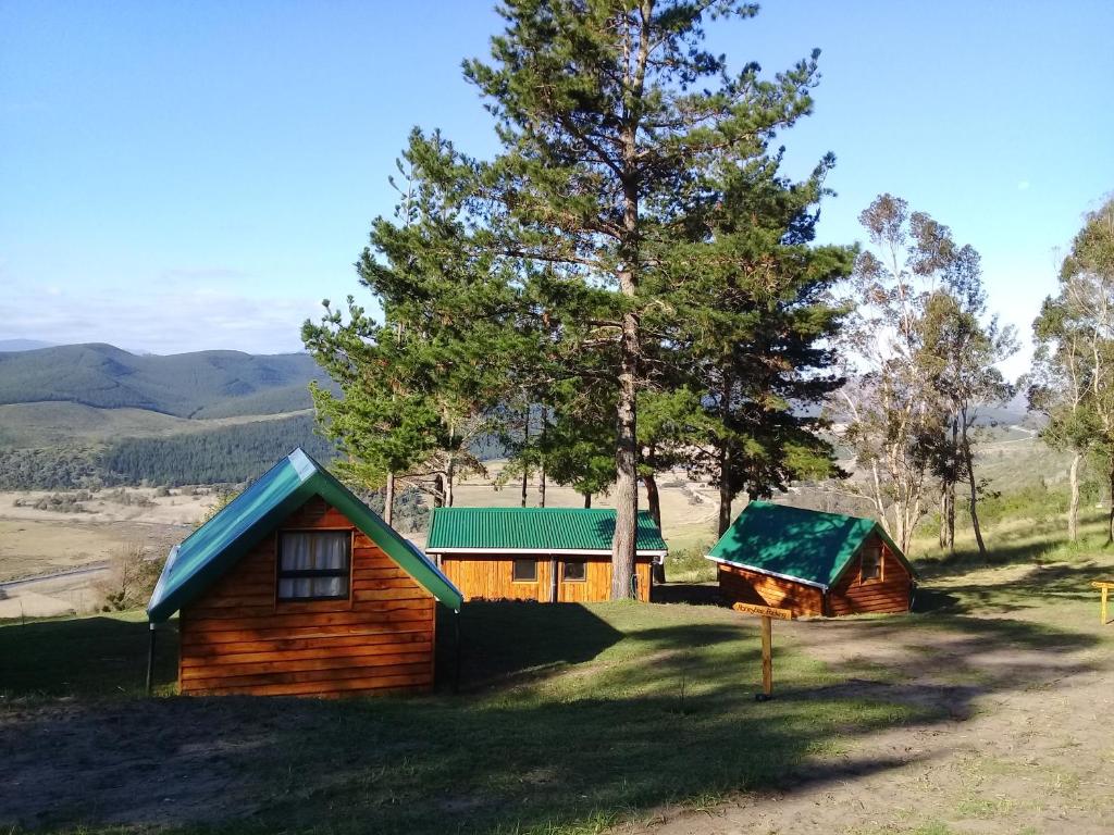 a log cabin and a house with a green roof at Sedgefield Huts in Sedgefield