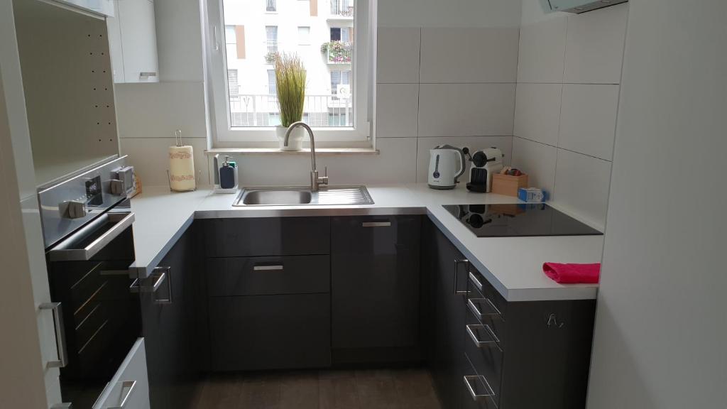 Kuchyňa alebo kuchynka v ubytovaní Apartament nad Odrą z tarasem