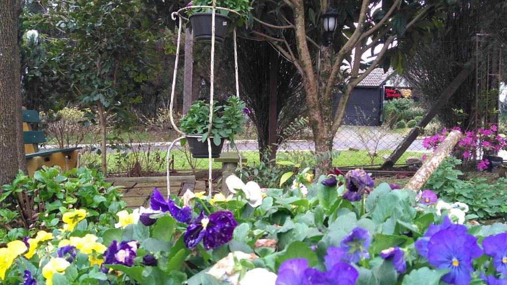 Hospedagem Da Laranjeira Gramado  Hospedagem Da Laranjeira Gramado