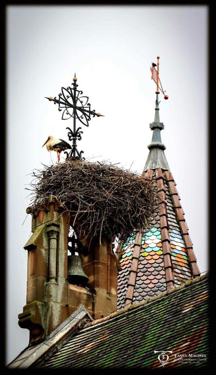 Gite St Léon à Eguisheim – photo 45