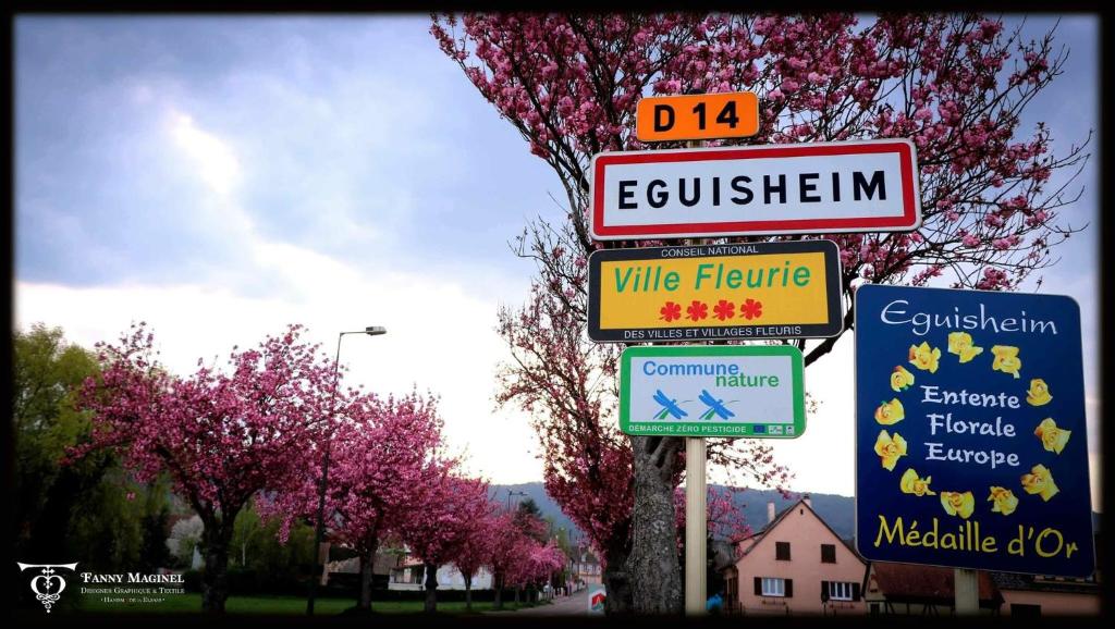 Gite St Léon à Eguisheim – photo 44