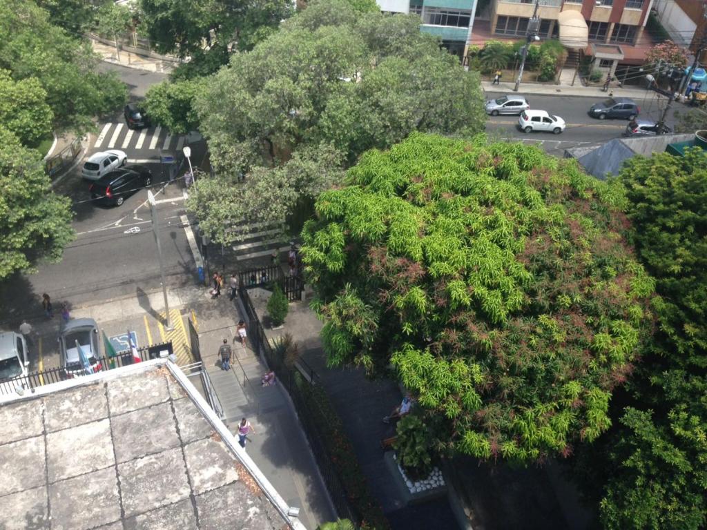 una vista sul tetto di un parco alberato e di una strada di Apartamento na Graça a Salvador