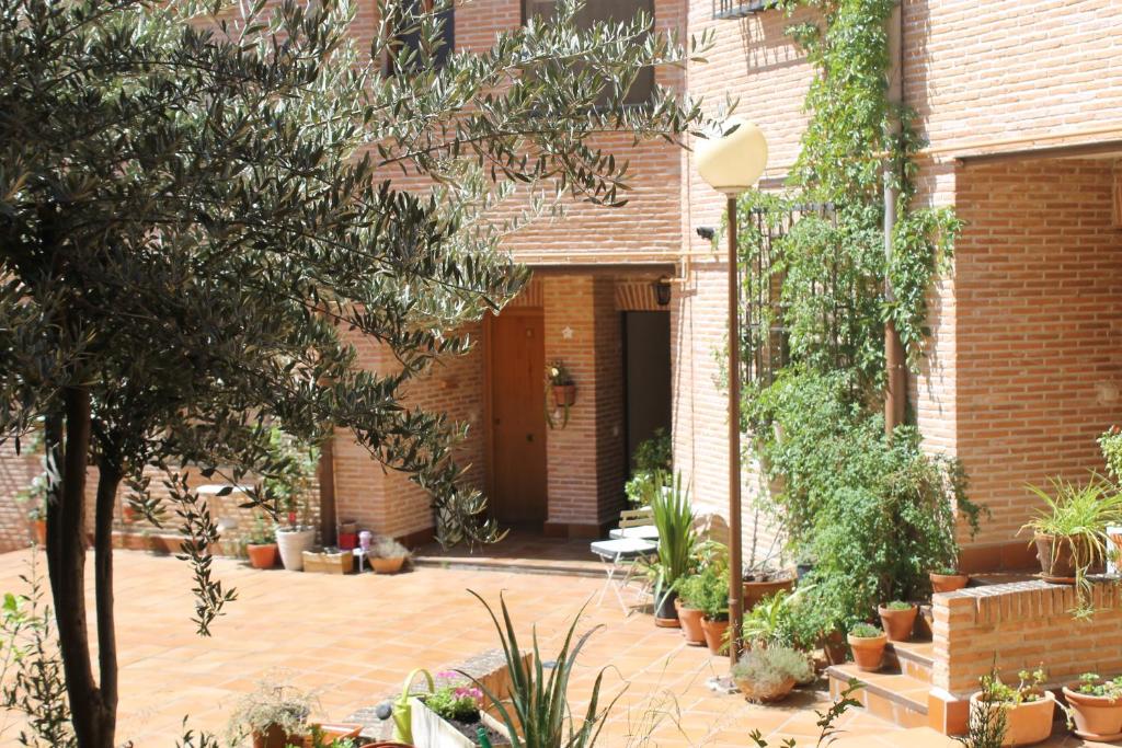 El Balcón del Tajo - 4