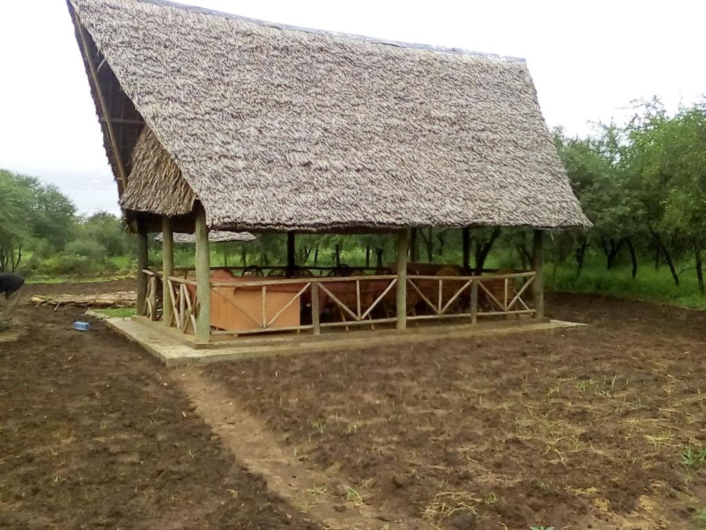 uma grande cabana com telhado de palha num campo em Mailua Retreat em Mailua