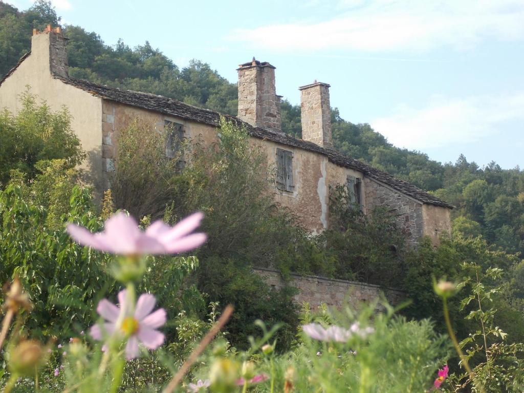 Příroda nedaleko bed and breakfast