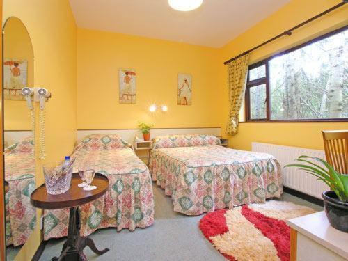 Postel nebo postele na pokoji v ubytování 19th Green Guesthouse