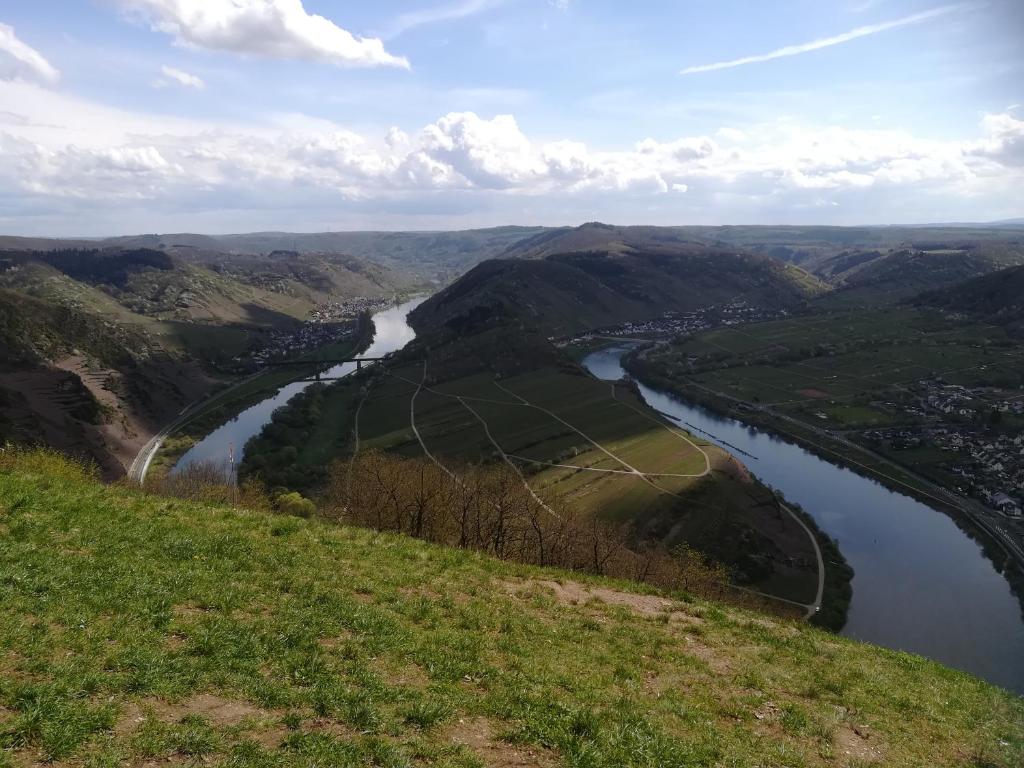 a view of a river from a hill at Mosel Dream in Cochem