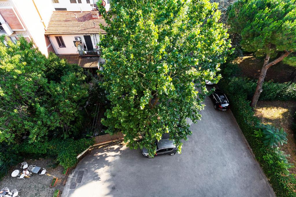 Zahrada ubytování Hotel Corolle