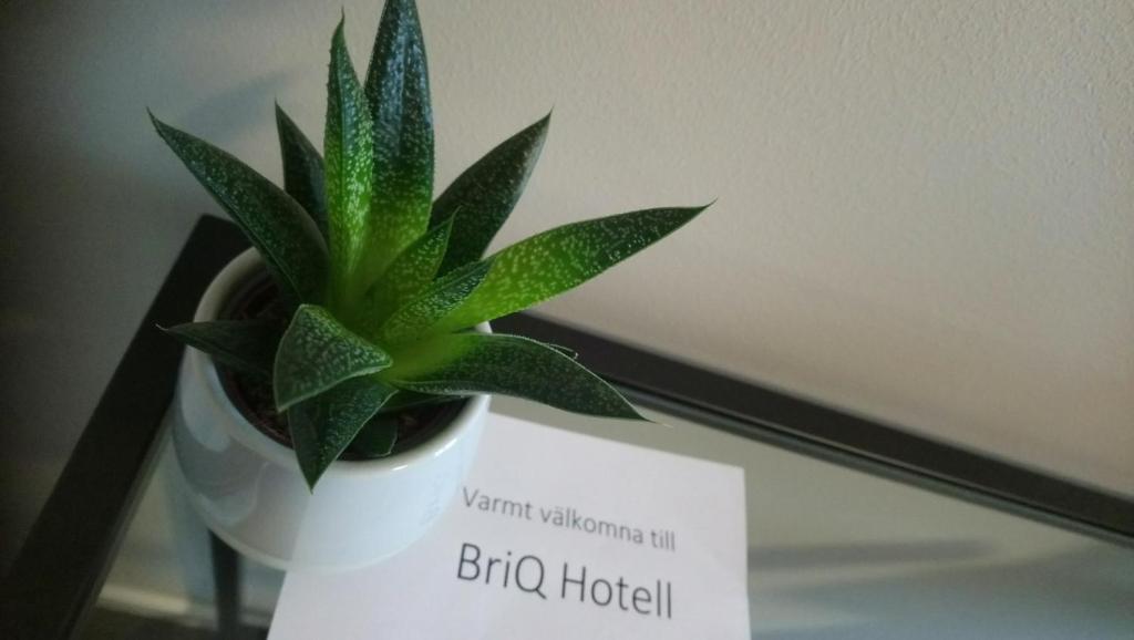 Certifikát, hodnocení, plakát nebo jiný dokument vystavený v ubytování BriQ Hotell