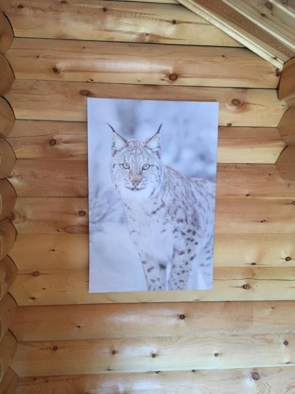 Fotografie z fotogalerie ubytování Le Syote v destinaci Xonrupt-Longemer