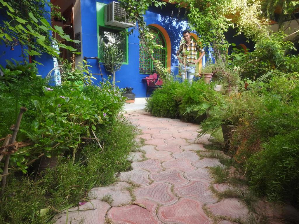 Zahrada ubytování The Coral Tree Boutique Homestay