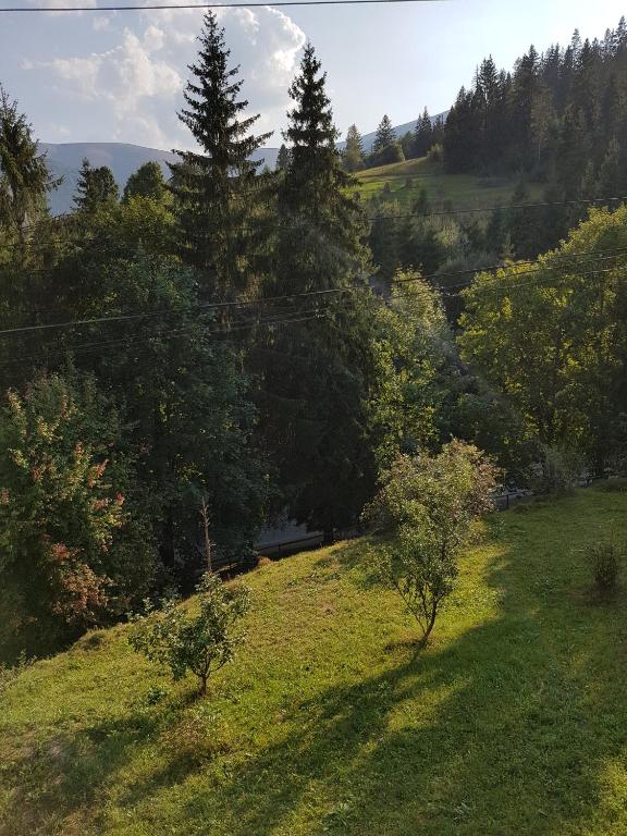 Příroda nedaleko penzionu