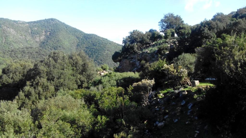 villetta Adriana - Holiday Home