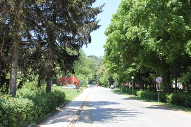 Zahrada ubytování Apartman Vrdničak
