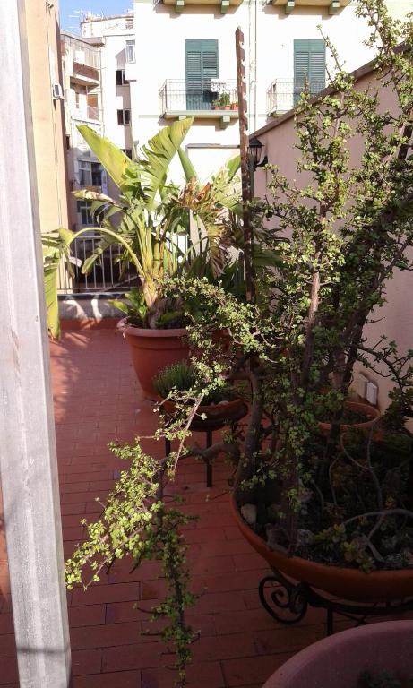 Vonkajšia záhrada v ubytovaní La Terrazza Nascosta