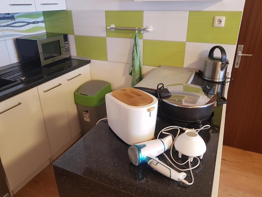 Kuchyň nebo kuchyňský kout v ubytování Apartmán Tauplitz