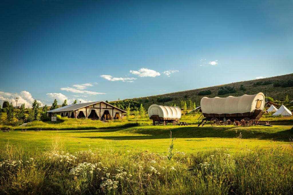 Příroda nedaleko luxury tent