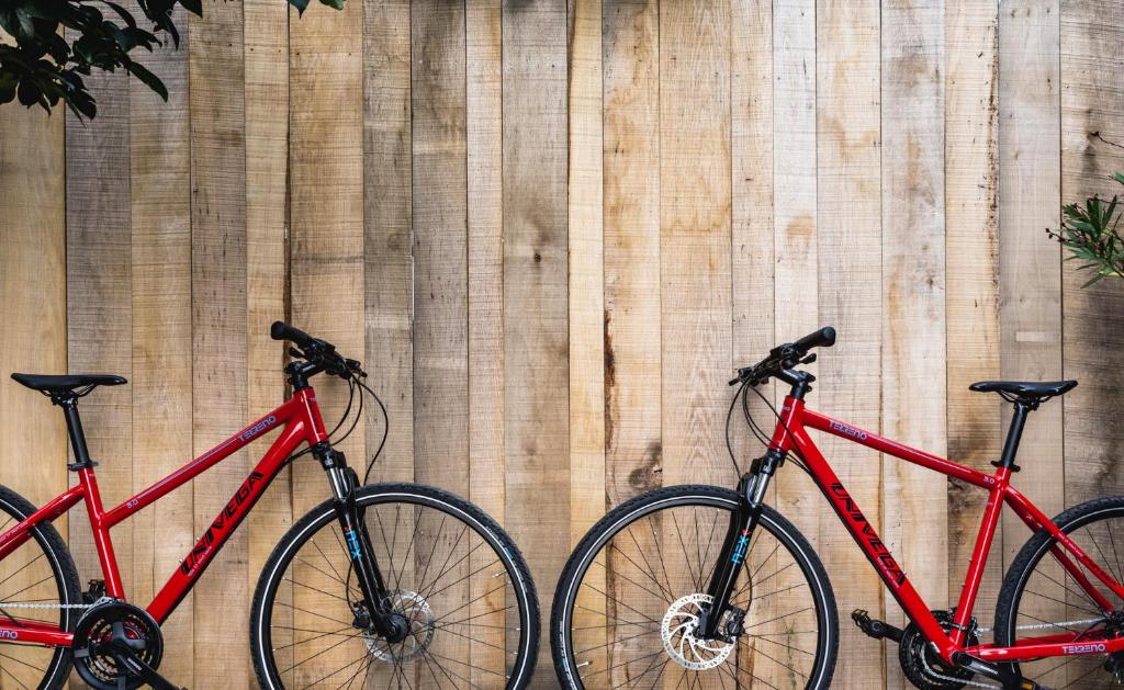 Jízda na kole v ubytování Terasse Jeruzalem Apartments nebo okolí