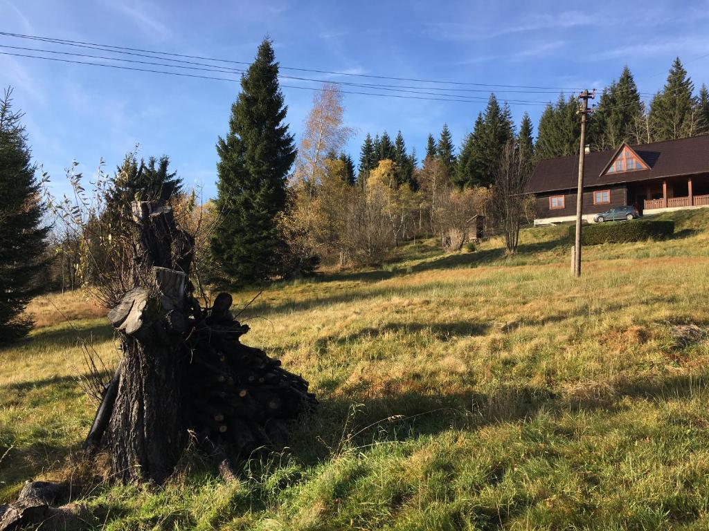 Příroda nedaleko apartmánu