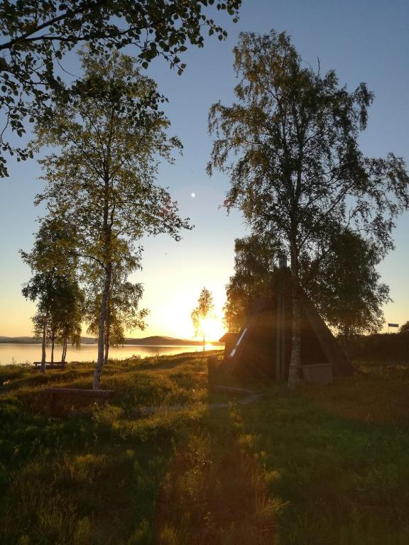 a tent in a field with trees and the sunset at Youth Center Vasatokka in Inari