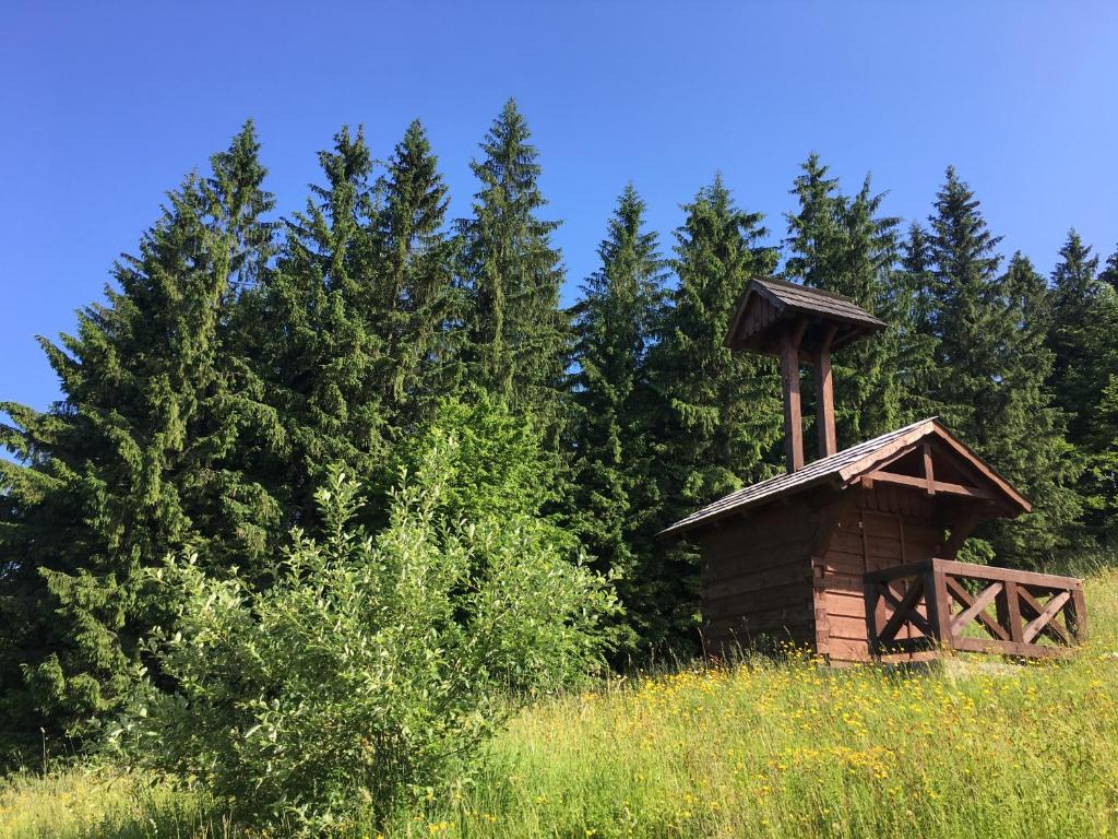 Příroda nedaleko apartmánu