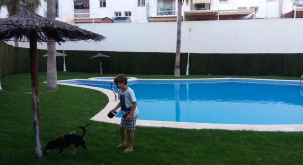 un niño parado junto a un perro cerca de una piscina en Habitación individual con baño privado, Desayuno y piscina en Alboraya