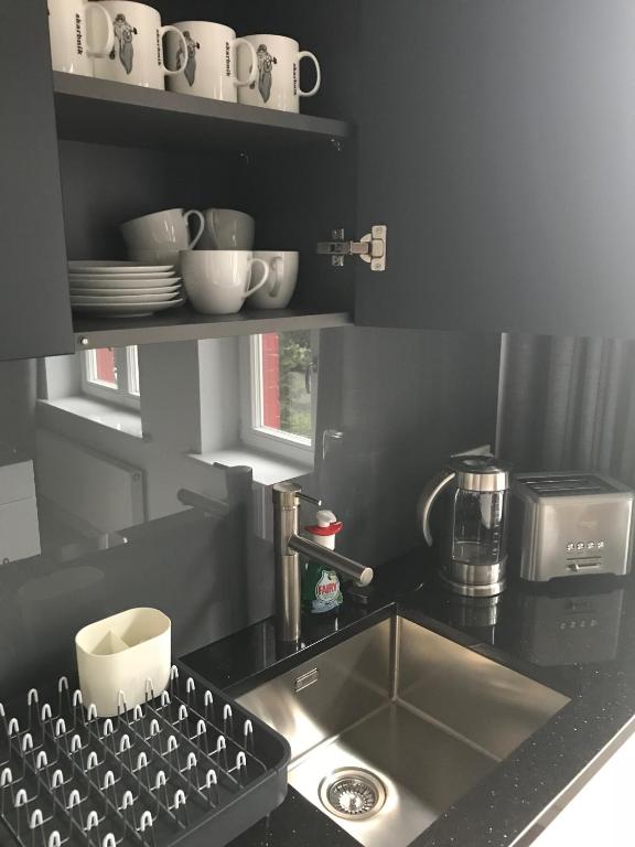Kuchyňa alebo kuchynka v ubytovaní Szopienicka Luxury