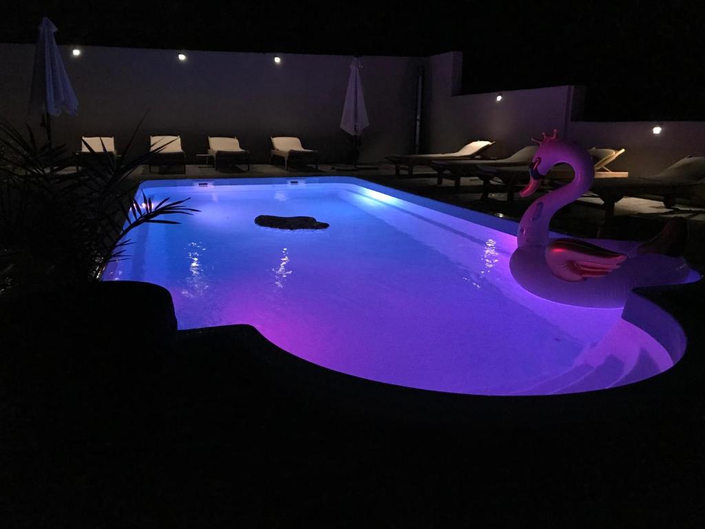 une piscine avec un cygne au milieu dans l'établissement Apartments Villa Stivan, à Solin