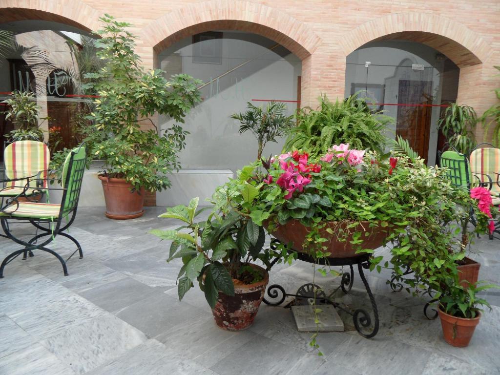 Hotel Maestre - Triple Room