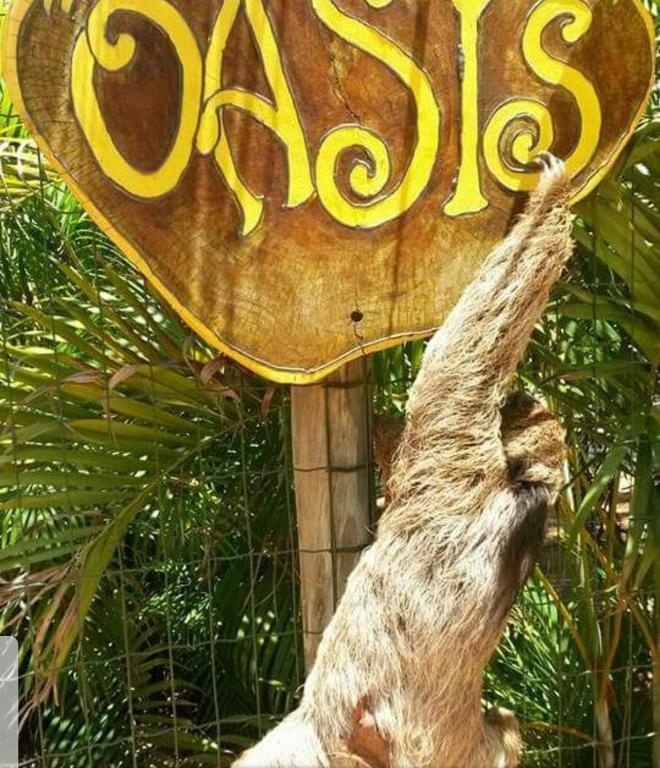Fotografie z fotogalerie ubytování Chalé "Oasis" v destinaci Praia do Forte