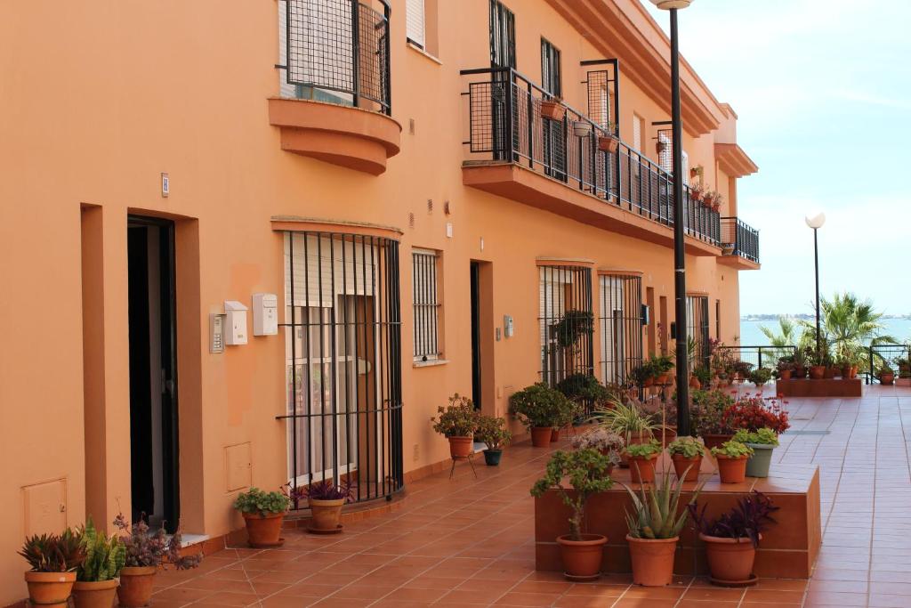 a building with potted plants on the side of it at Apartamento Tres Carretas Puerto Real in Puerto Real