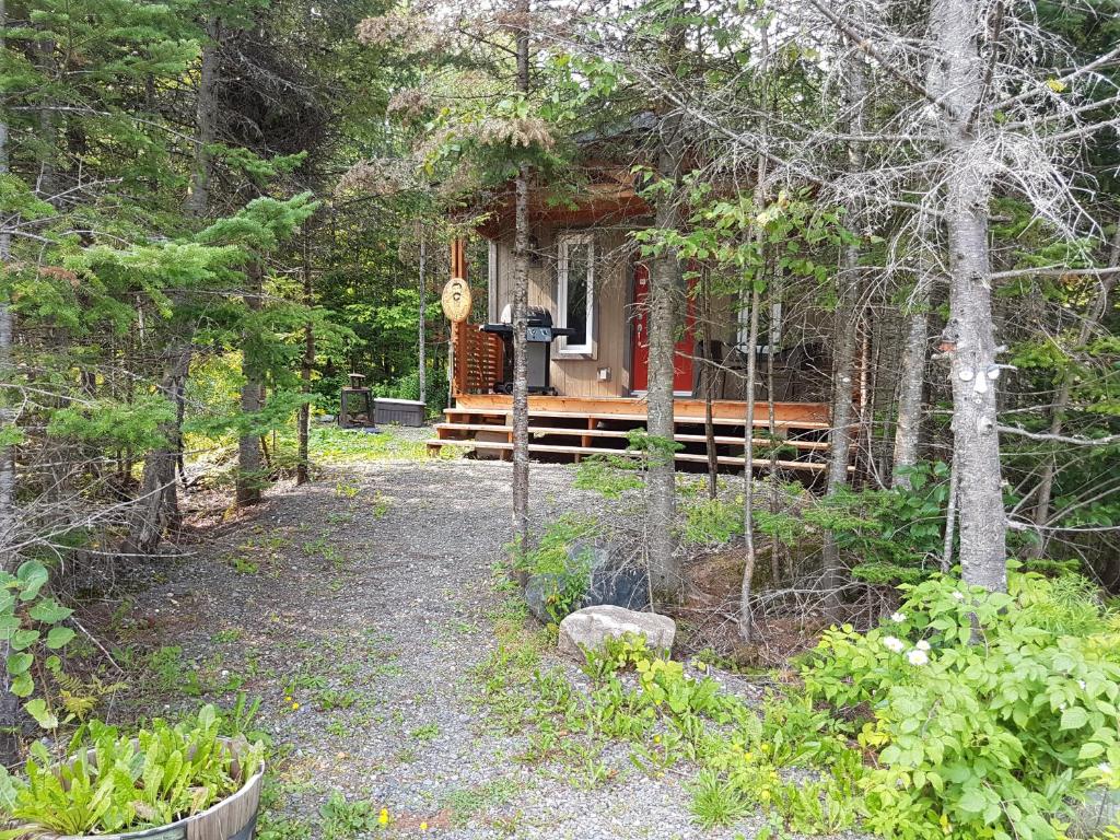 une cabine dans les bois avec un chemin menant à celle-ci dans l'établissement Chalet Milan, à Milan