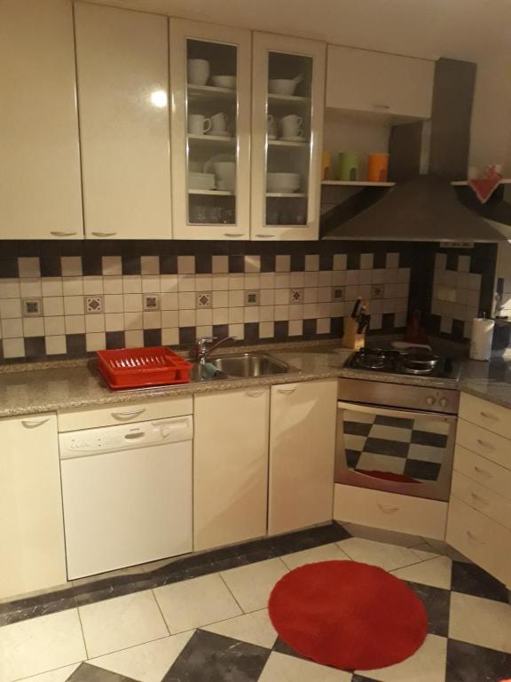 Kuchyň nebo kuchyňský kout v ubytování Apartman Petra