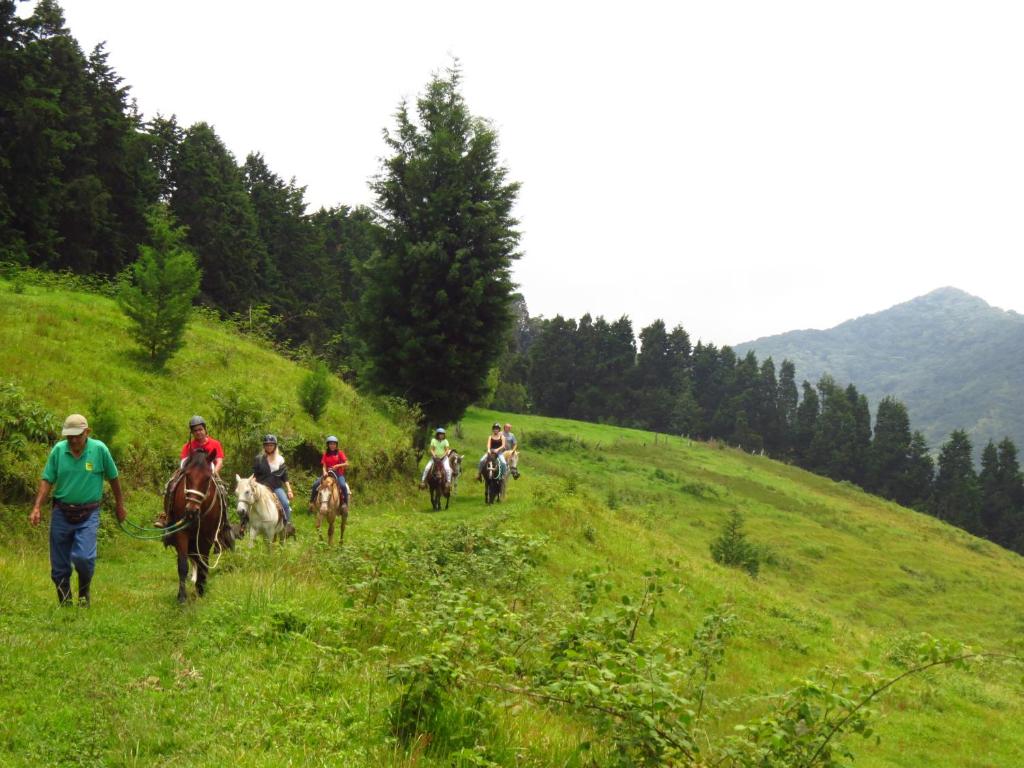 Hosté ubytování Rancho Amalia