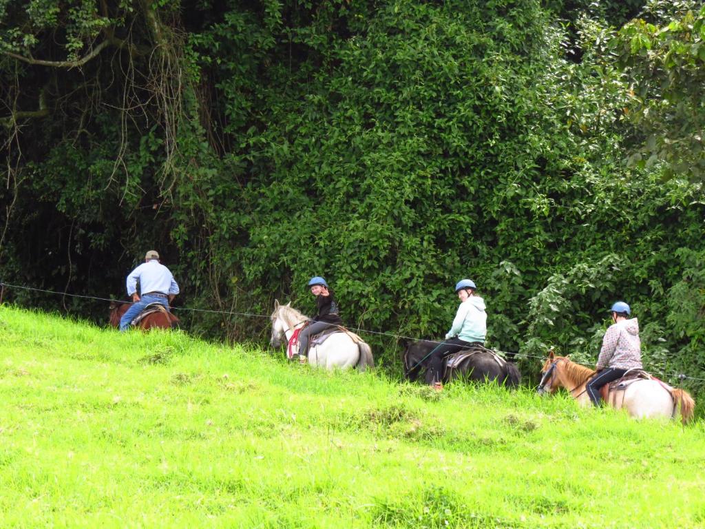Hosté ubytování Rancho Amalia