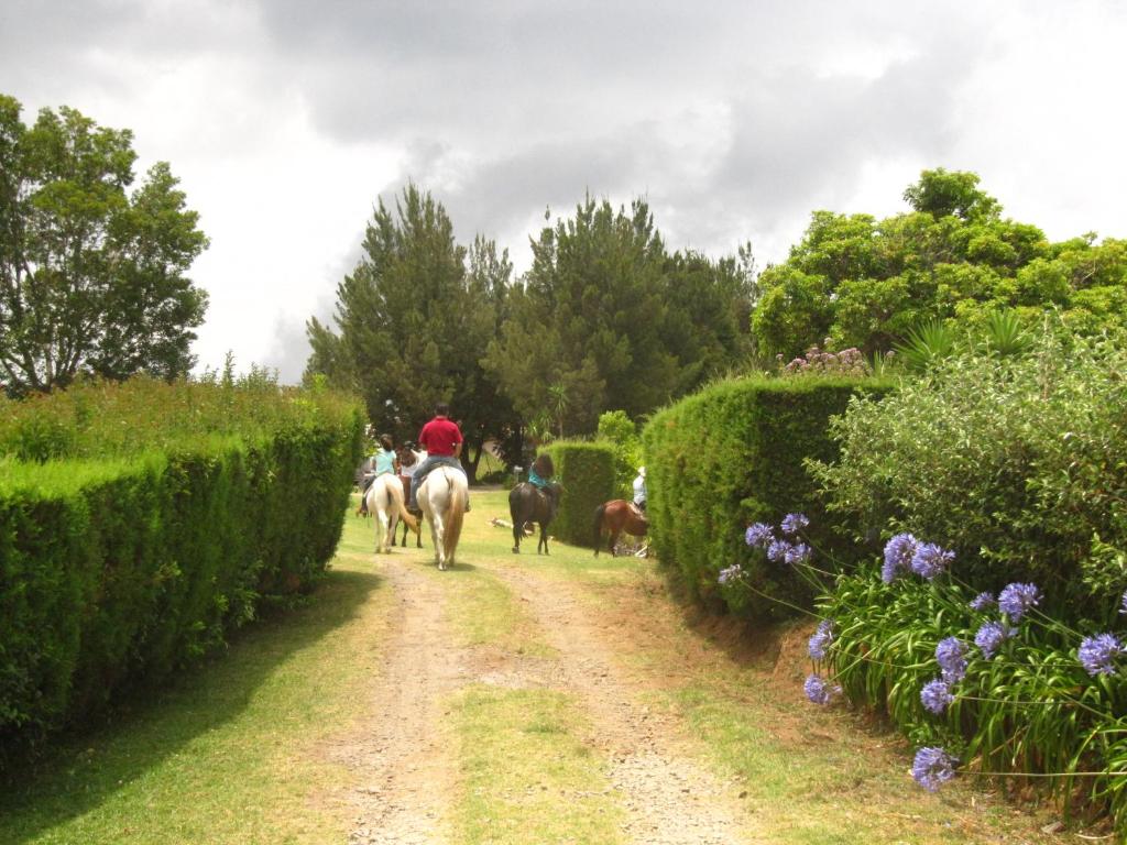 Hosté ubytování Rancho Amalia