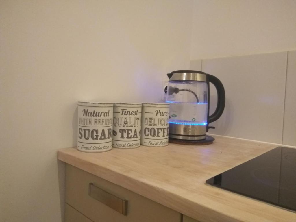 Príslušenstvo na prípravu kávy alebo čaju v ubytovaní Studio Iwicka