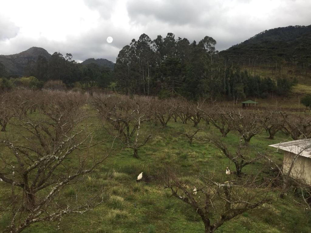  Pousada Sabor da Roça