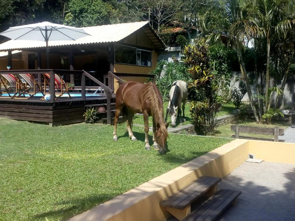  Farm Muquem