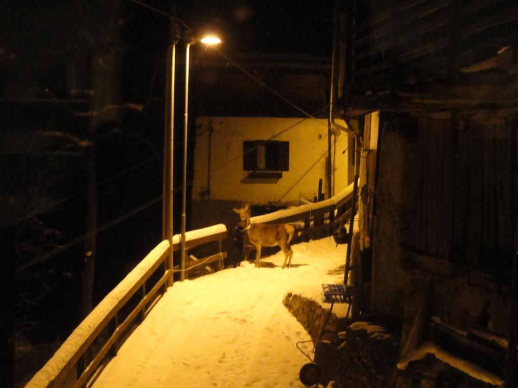 B&B Mas di Zonadi v zime