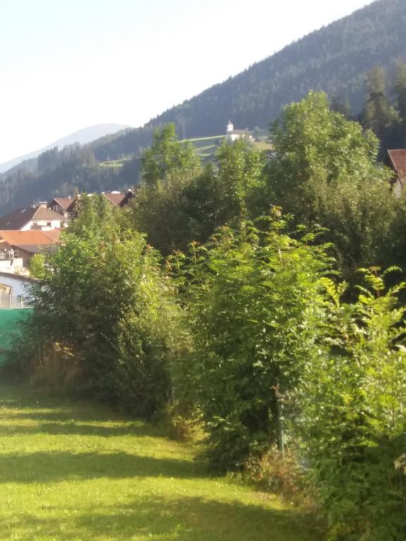 eine Gruppe von Bäumen auf einem Grasland in der Unterkunft Ferienwohnung "Die 14" in Steinach am Brenner