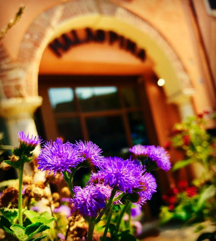 Zahrada ubytování Boutique Hotel Corte Malaspina