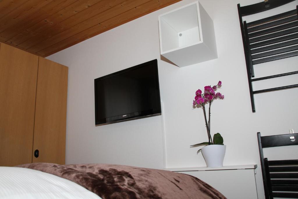 TV a/nebo společenská místnost v ubytování Hotel Sonnenhalde Wiesen