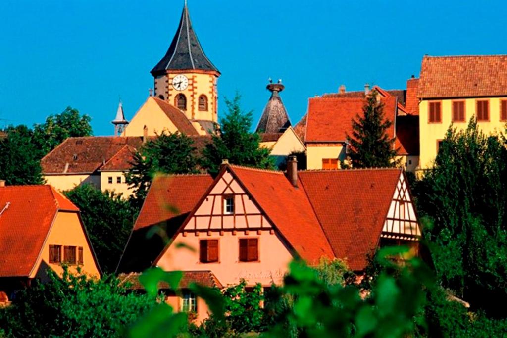Fotografie z fotogalerie ubytování Hôtel Restaurant Le Schlossberg v destinaci Zellenberg