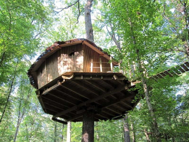 a tree house in the middle of a forest at Les cabanes du lac du Der in Giffaumont