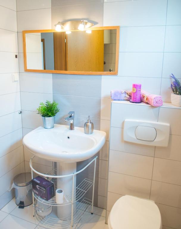 Koupelna v ubytování Guest House Agava