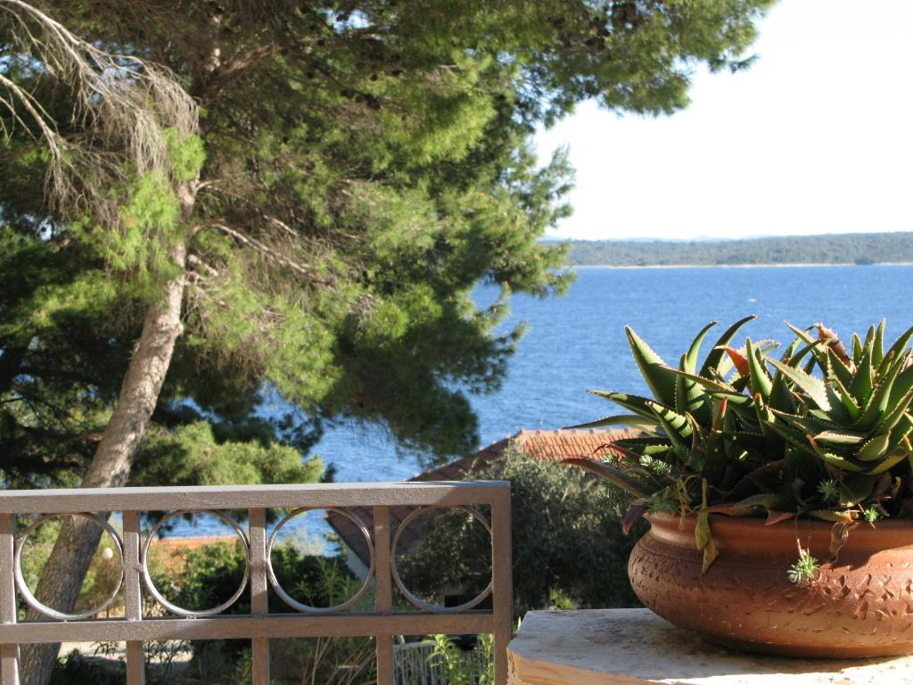 un jarrón de plantas sentado en una barandilla cerca del agua en Villa Mala, en Zavala